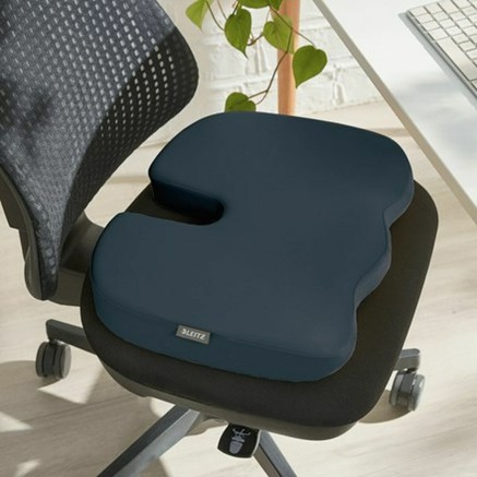 Coussin de chaise Leitz 2
