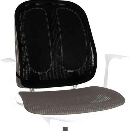 Schienale per Sedile Fellowes 9191301 Ergonomico Regolabile Nero Plast