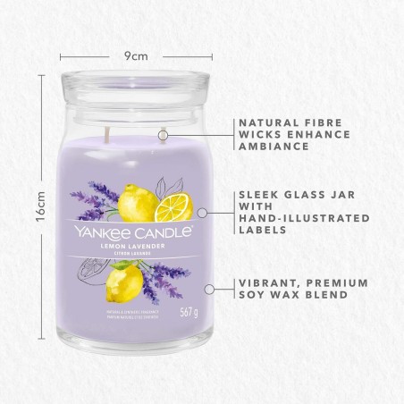 Duftkerze Yankee Candle 1629970E