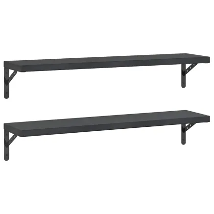 Étagères murales 2 pcs 100x23,5 cm noir acier inoxydable 2