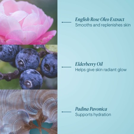 Desmaquillante Facial Elemis