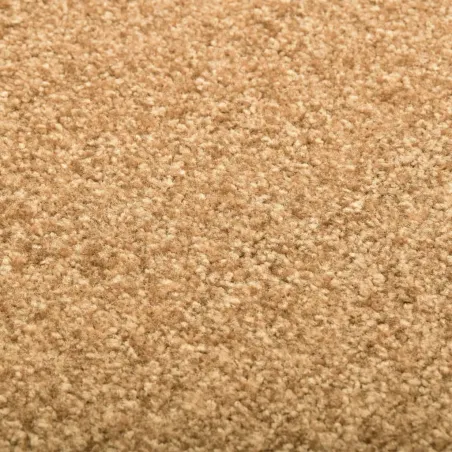 Paillasson lavable Crème 40x60 cm