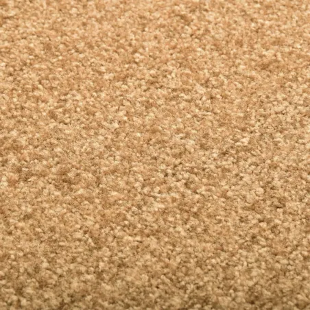 Paillasson lavable Crème 60x90 cm