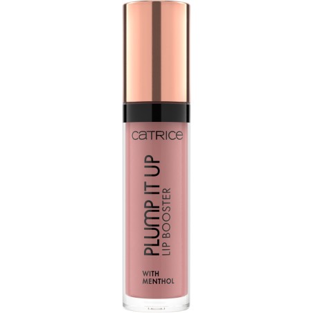 Rouge à lèvres liquide Catrice Plump It Up (2 Unités)