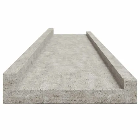 Étagères murales 2 pcs Gris béton 100x9x3 cm