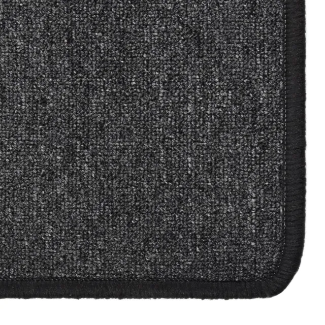 Tapis de couloir Anthracite 80x150 cm
