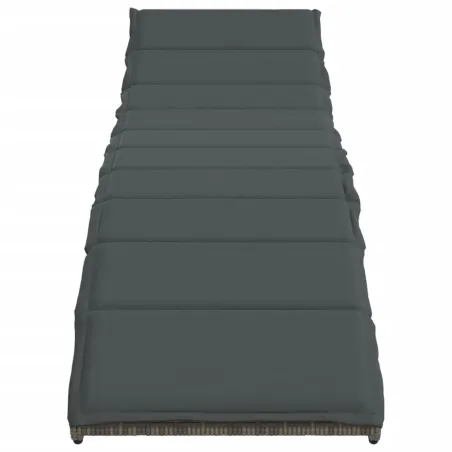 Chaises longues lot de 2 avec coussins gris résine tressée