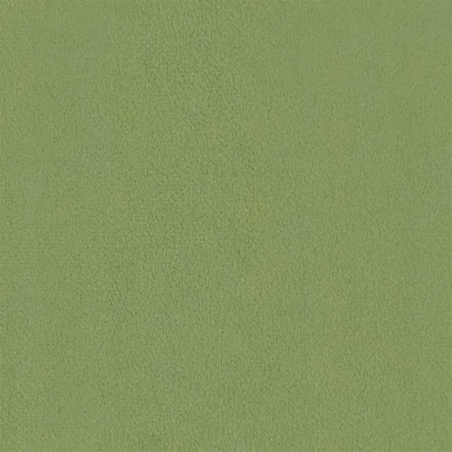 Chaise de relaxation avec repose-pied Vert clair Velours