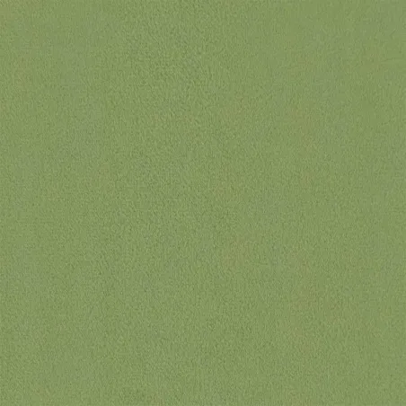 Chaise de relaxation avec repose-pied Vert clair Velours