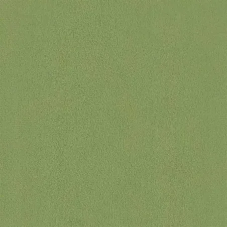 Chaise de relaxation avec tabouret Vert clair Velours