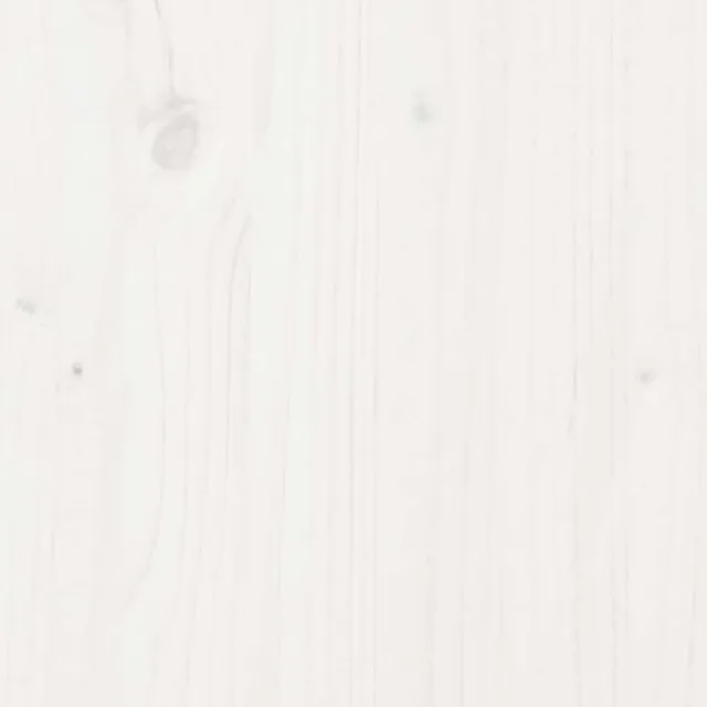 Lit de jour avec toit sans matelas blanc 80x200 cm bois massif