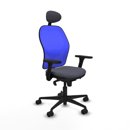 Bürostuhl Piqueras y Crespo 3D036N1 Dunkelgrau
