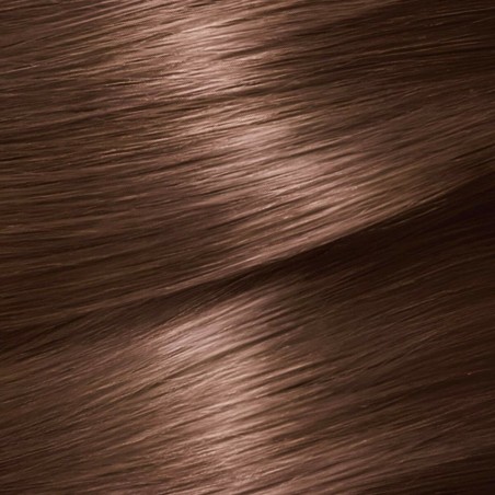 Dauerhafte Creme-Coloration Garnier Nutrisse Creme 5.35/58 - Sequoia