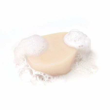 Champoing Solide Garnier Original Remedies X Hydratant Coco 2 Unités