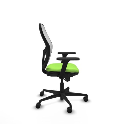 Sedia da Ufficio Piqueras y Crespo 3D036N0 Pistacchio 2