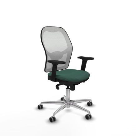 Chaise de jeu Piqueras y Crespo 2D086G0 Vert