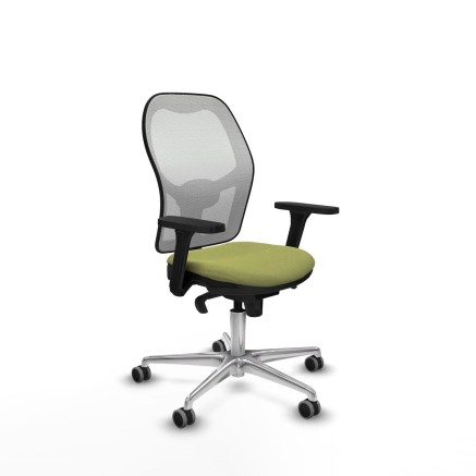 Chaise de Bureau Piqueras y Crespo 3D086G0 Vert